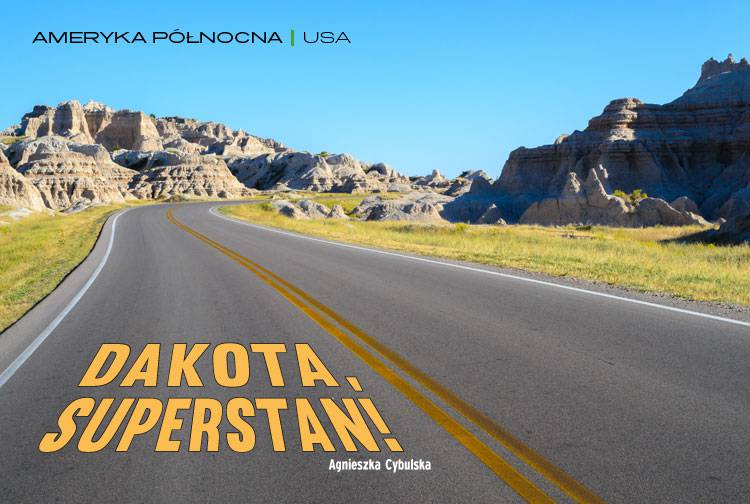 Losowy darmowy artykuł